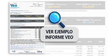 Ver ejemplo informe VEO